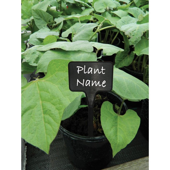 Plant Tee Labels Solid Black (10pk)