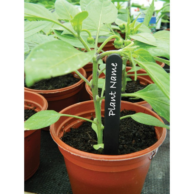 Plant Labels 6" (15cm) Black (25pk)