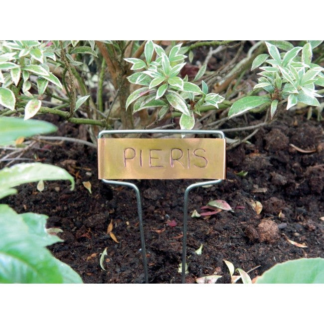 Plant Tee Labels Copper (5)