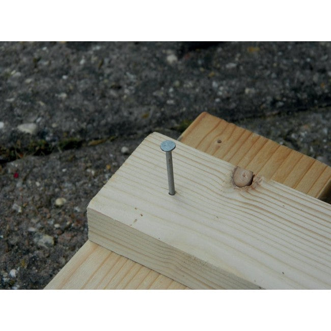 Nails Galvanised 1 1/4" (30mm) - 100g