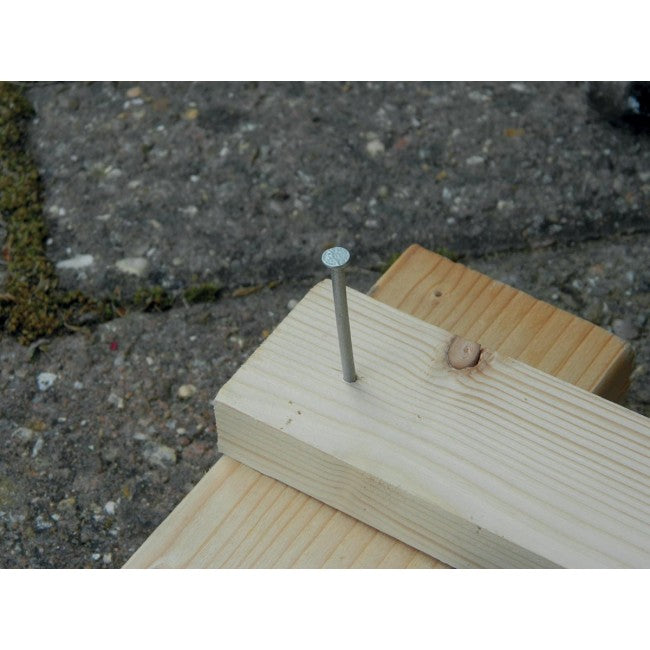 Nails Galvanised 2" (50mm) - 100g