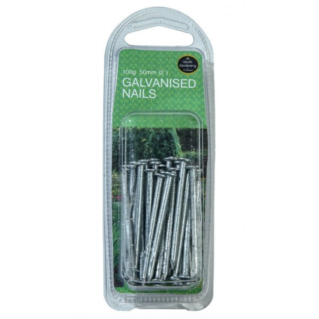 Nails Galvanised 2" (50mm) - 100g