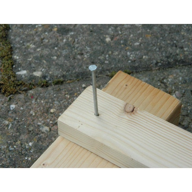Nails Galvanised 2 1/2" (65mm) - 100g