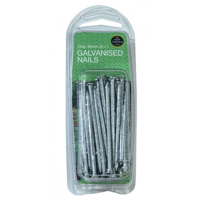 Nails Galvanised 2 1/2" (65mm) - 100g