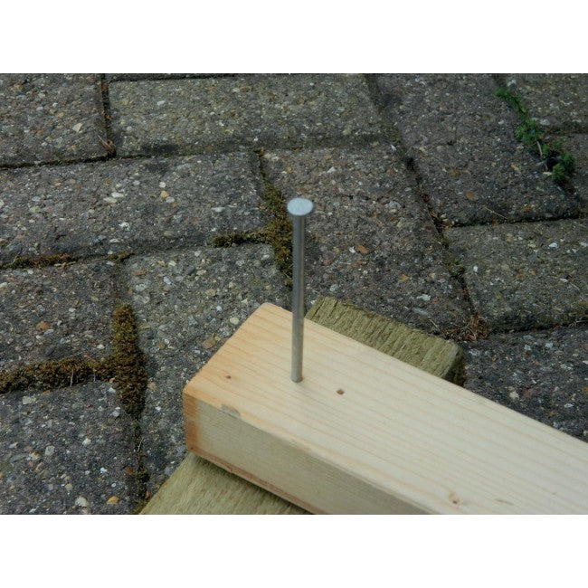 Nails Galvanised 4" (100mm) - 200g