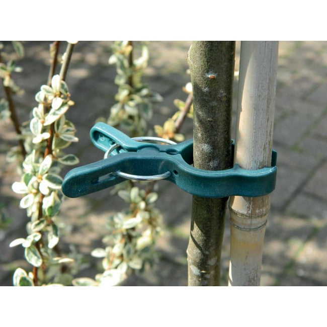 Plant Clips Large with Spring (5pk)