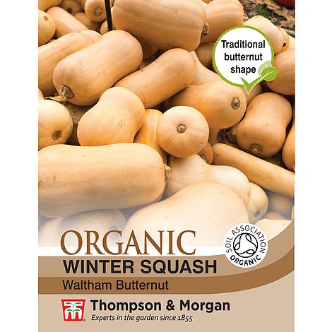 Squash Waltham Butternut (Organic) Seeds