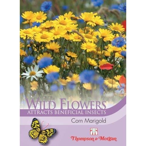 Wild Flower Corn Marigold Flower Seeds